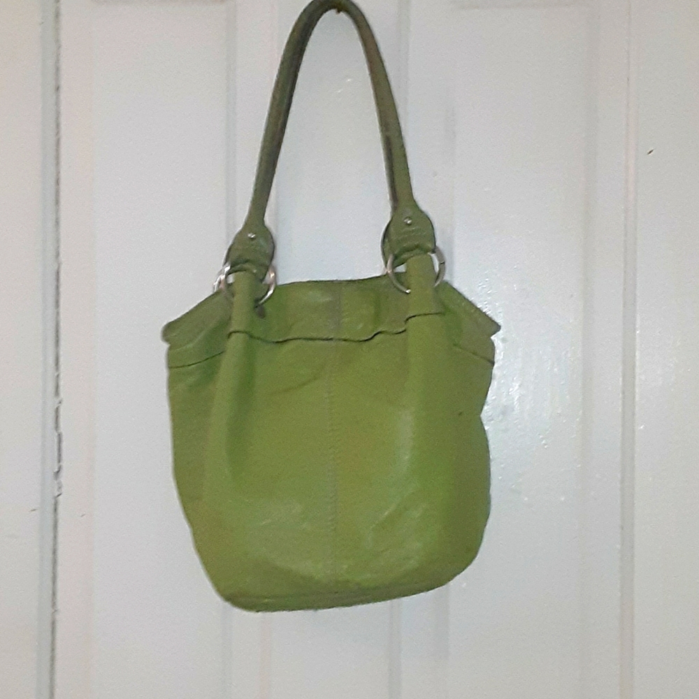 Exotic green purse